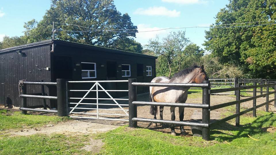 Bring your own horse to stay at Studland Stables
